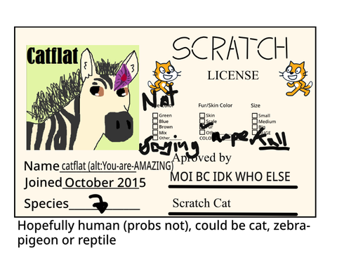 mY sCrAtCh LiScEnCe (idk anymore)