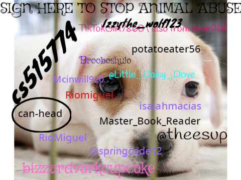 SIGN HERE TO STOP ANIMAL ABUSE remix remix remix remix remix remix remix remix remix remix remix