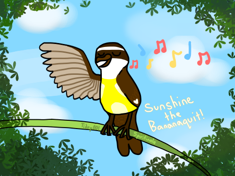 Sunshine the Bananaquit - a birthday gift for Spiritinala!