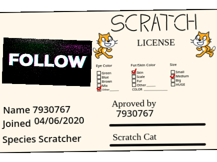 My Special Scratch License