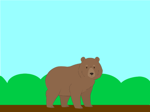 bear's home two.