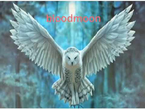 rp me bloodmoon