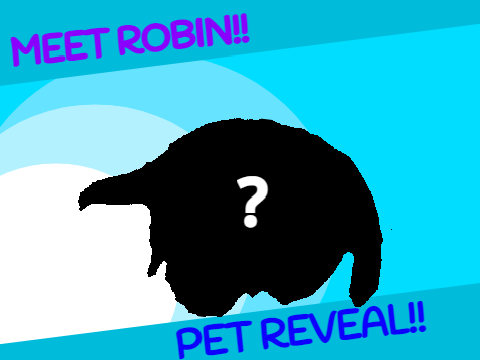 Meet Robin! | Pet Reveal