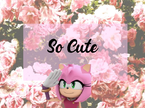 The Cutest Things Ever