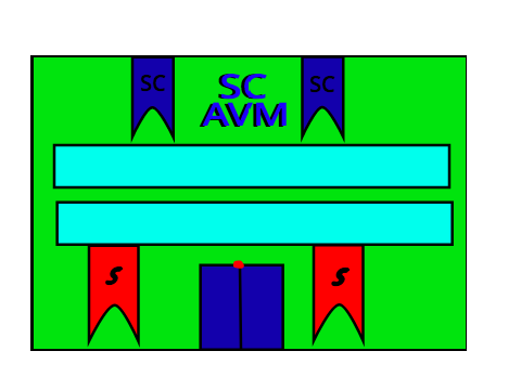 AVM 3