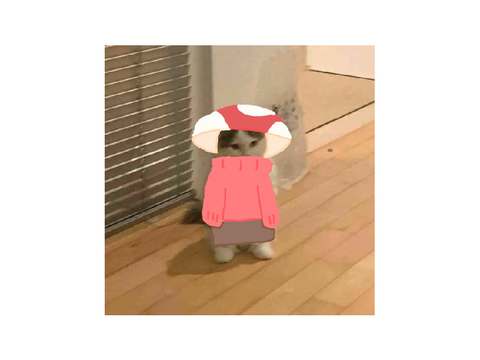  I wish I could make this my pfp