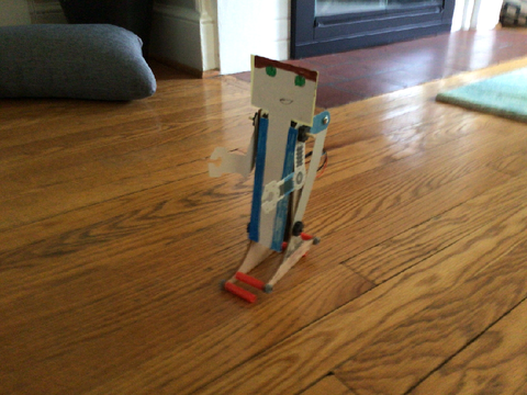 Robotic huntedskelly 