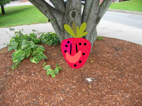 strawberry show