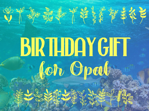 • birthday gift for opal •