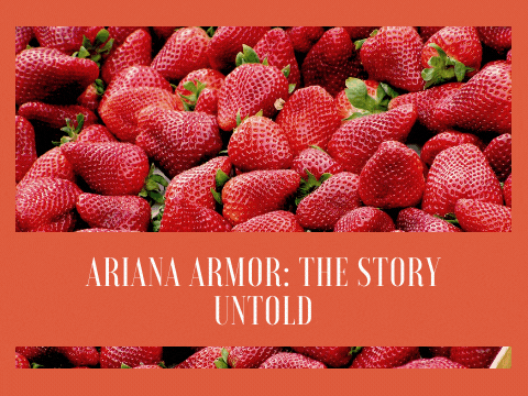 Ariana Armor: The Story Untold: Chapter One