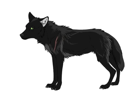 Raze[]Male Lone Wolf[]For RP