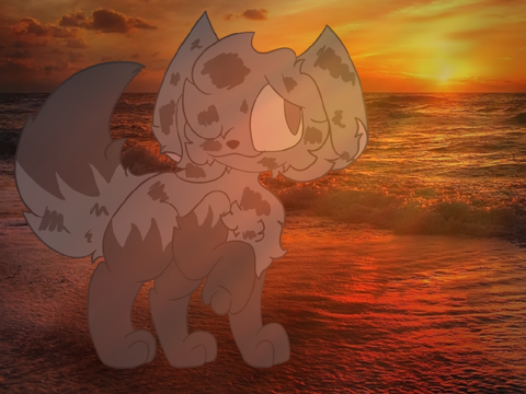 Sunset Waves