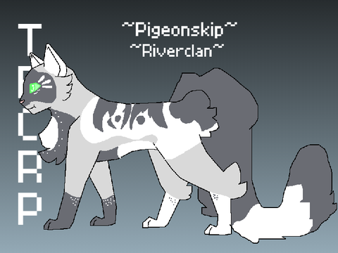 . Pigeonskip ref .