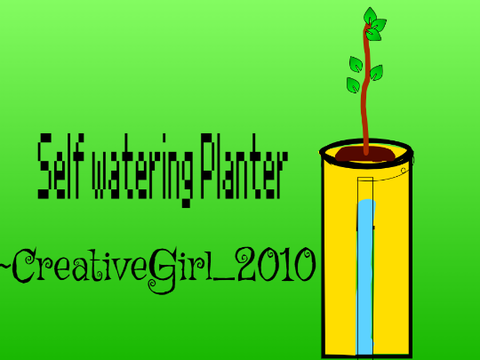DIY Self Watering planter