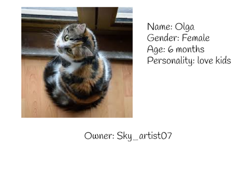 Adopt kitten/cat!