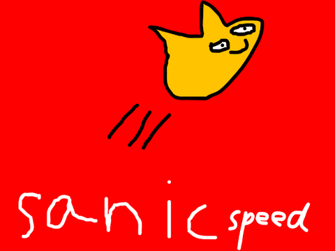 scratch cat be zoomin'