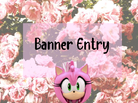 Banner Entry