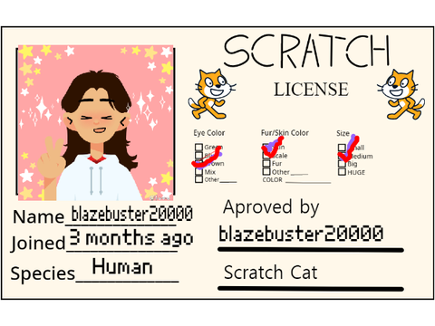 My Scratch License 