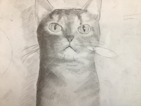 Random Sketch (stare stare stare)