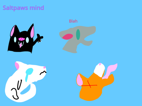 Saltpaws mind
