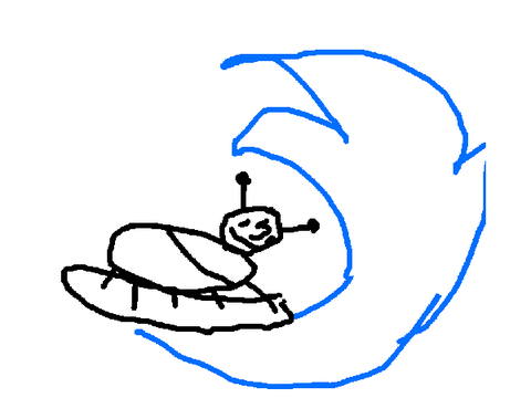 surfing shrek cricket