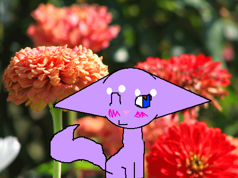 My OC