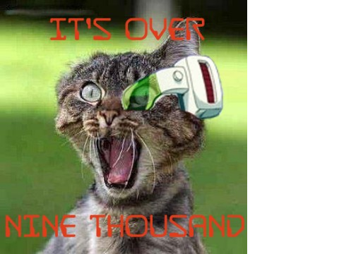 IT'S OVER 9000CAT!