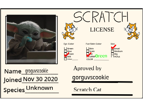 My scratch license