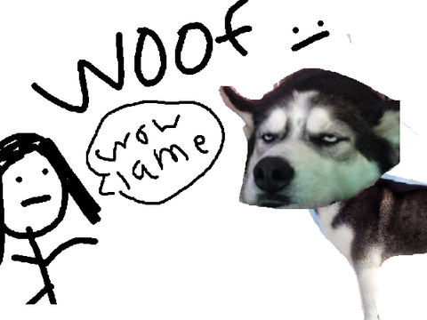 a boring  woof