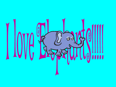 Elephant Quiz