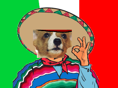 TACO CORGI ( Original By @pineapple_pup )