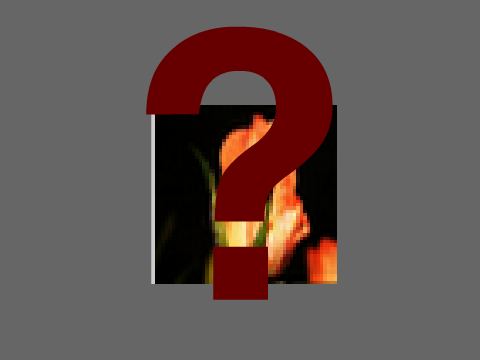 Who or What is Orange067?