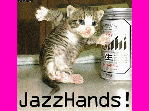 Funny Cat Pics!Slideshow!