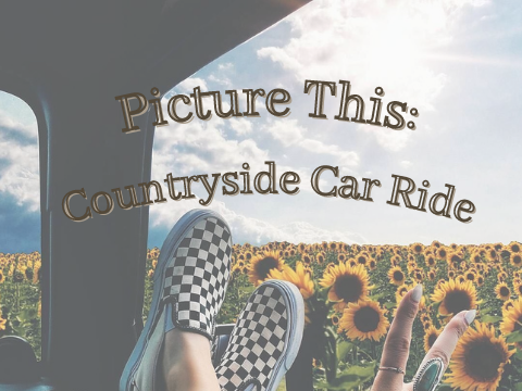 ⤹Picture This: Countryside Car Ride