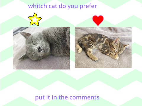 what do you prefer
