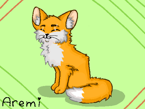 Scratch cat drawing process
