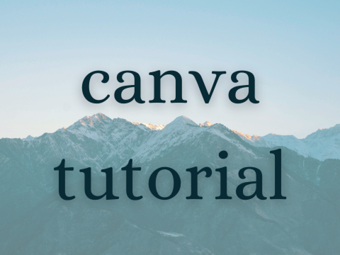 ☂ how to use canva // updated