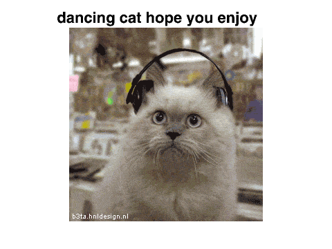dancing cat 