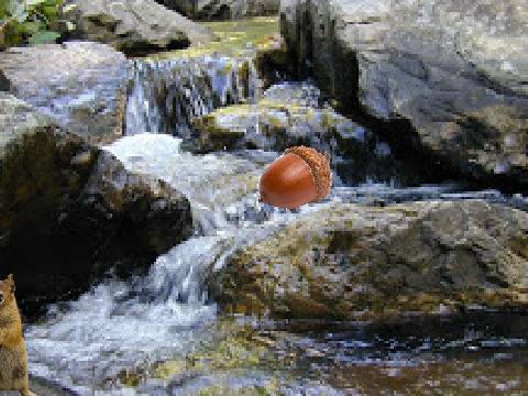 Nut Catch