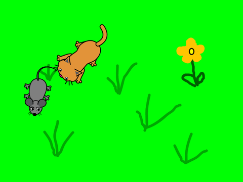 Cat and Mouse