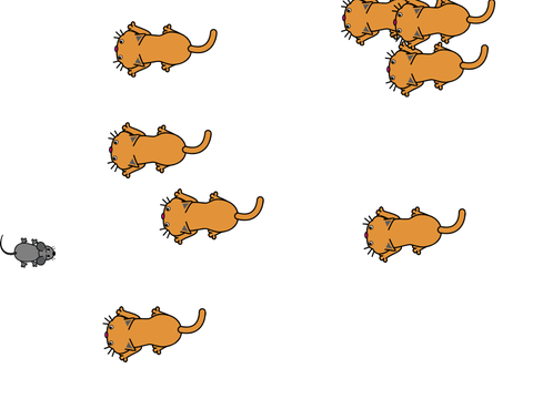 Get away from cats!!!!