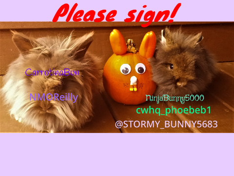 Please help the bunnies! remix remix remix remix