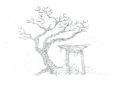 Shimmei Torii Gateway