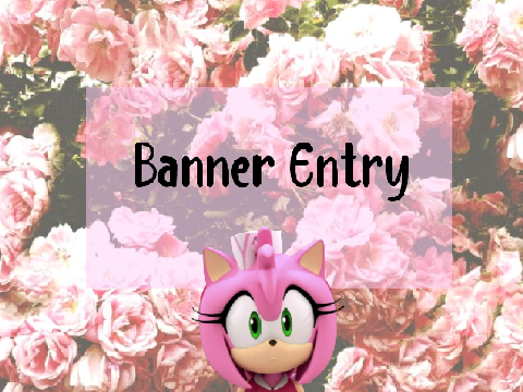 Banner Entry