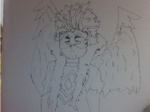 Hawks drawing