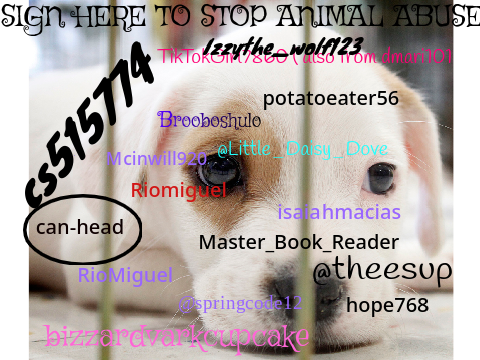 SIGN HERE TO STOP ANIMAL ABUSE remix remix remix remix remix remix remix remix remix remix re… remix