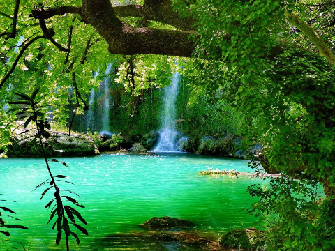Hello! Welcome :)