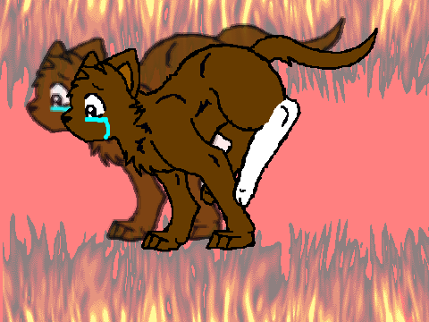 Running Cat Sprite remix