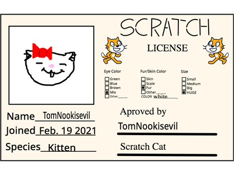 My scratch license 