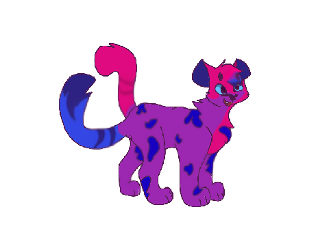 <> Pride DTAE <> Bi